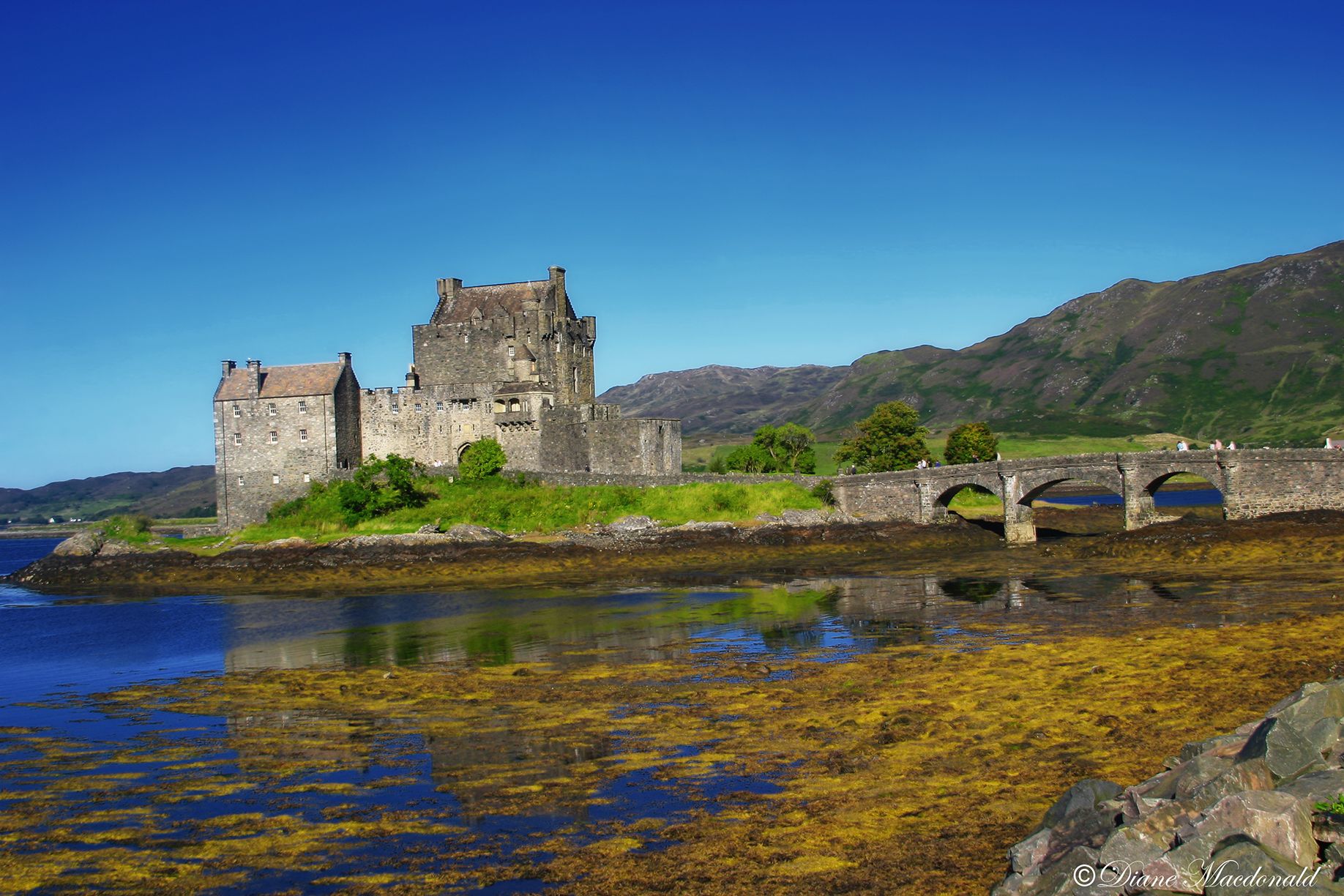 eilean donan castle.jpg