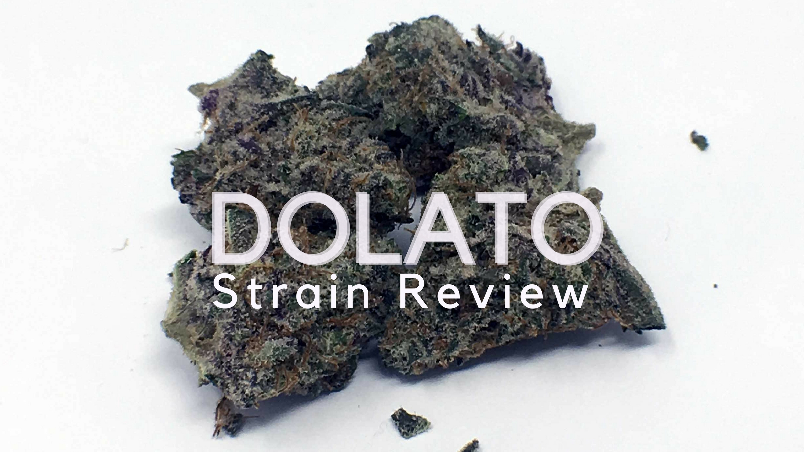 Dolato Cannabis Strain review.