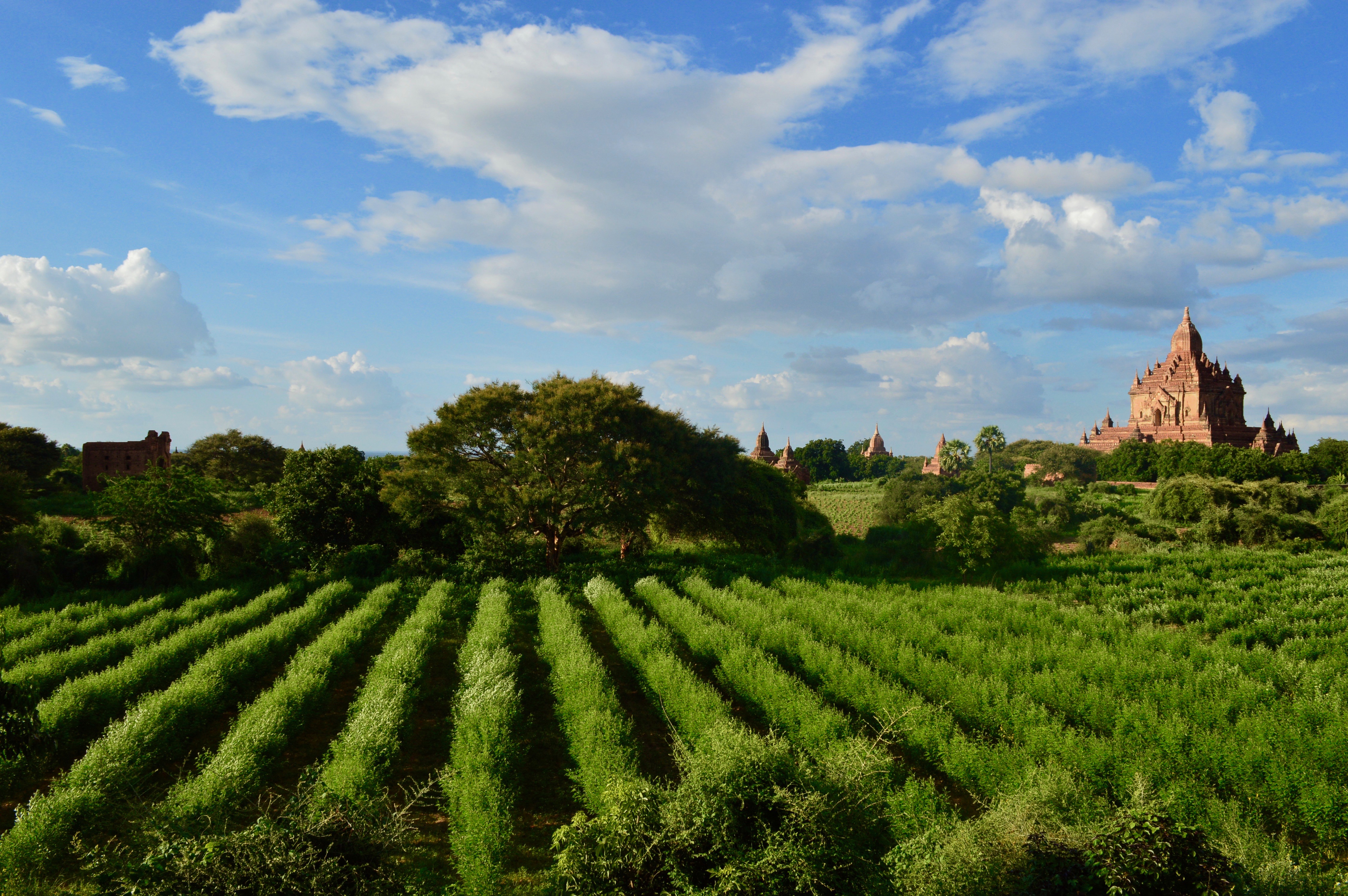 DSC_0125.jpg