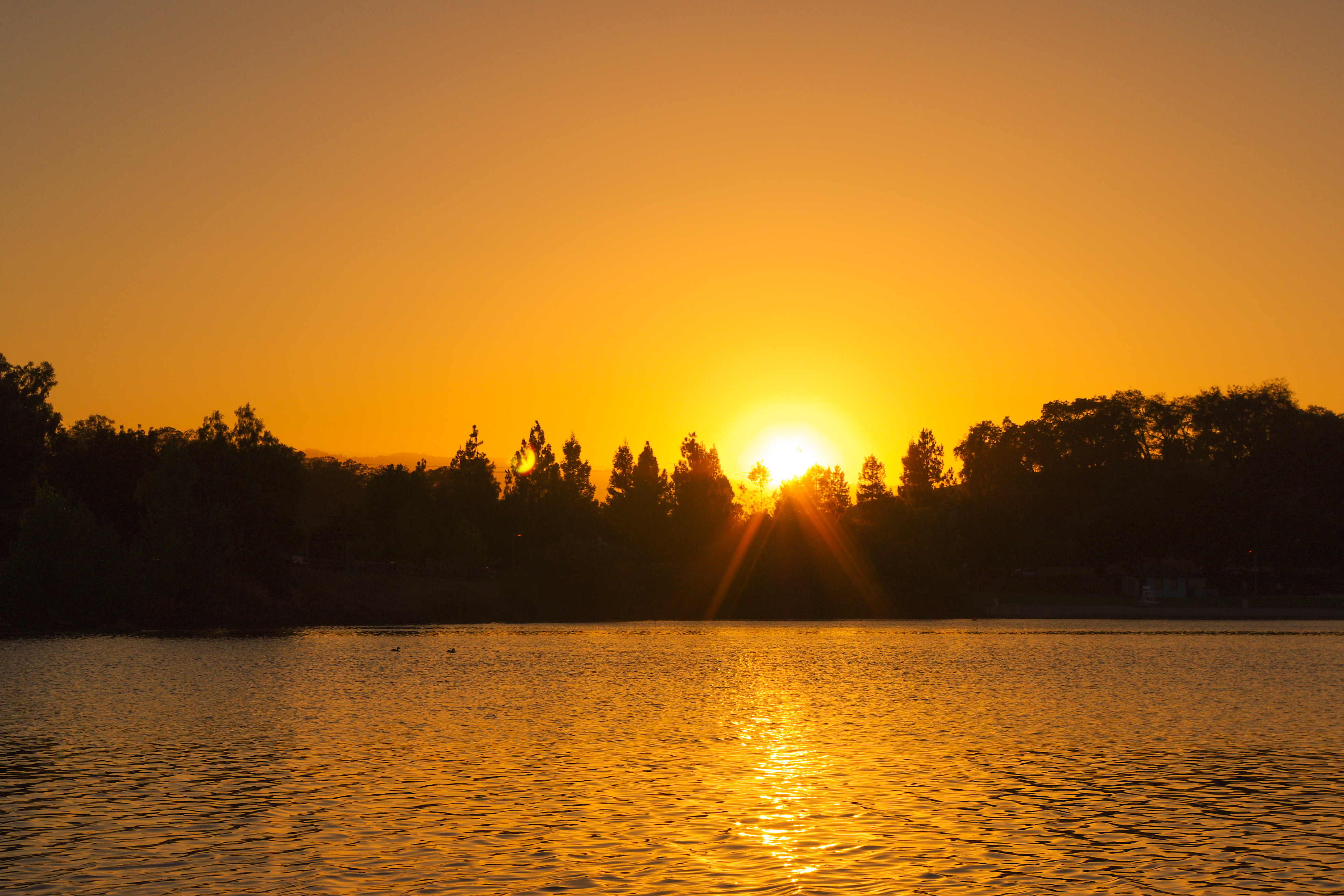 Beautiful Warm Sunsets Sun Star California Nature Landscape Photography 2012 006.jpg