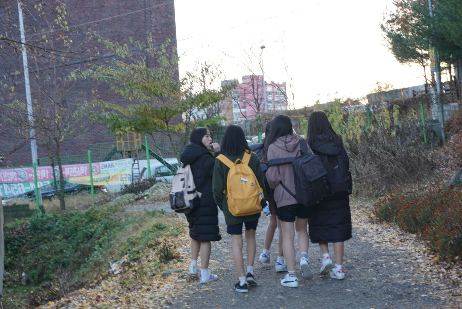DSC09347.JPG