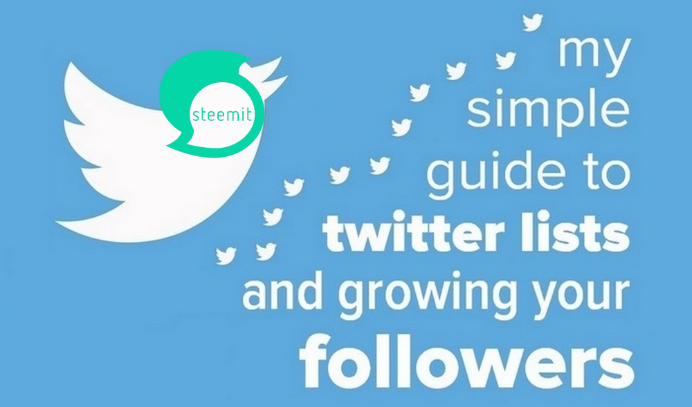 how-to-create-twitter-lists-guide-steemit version.jpg