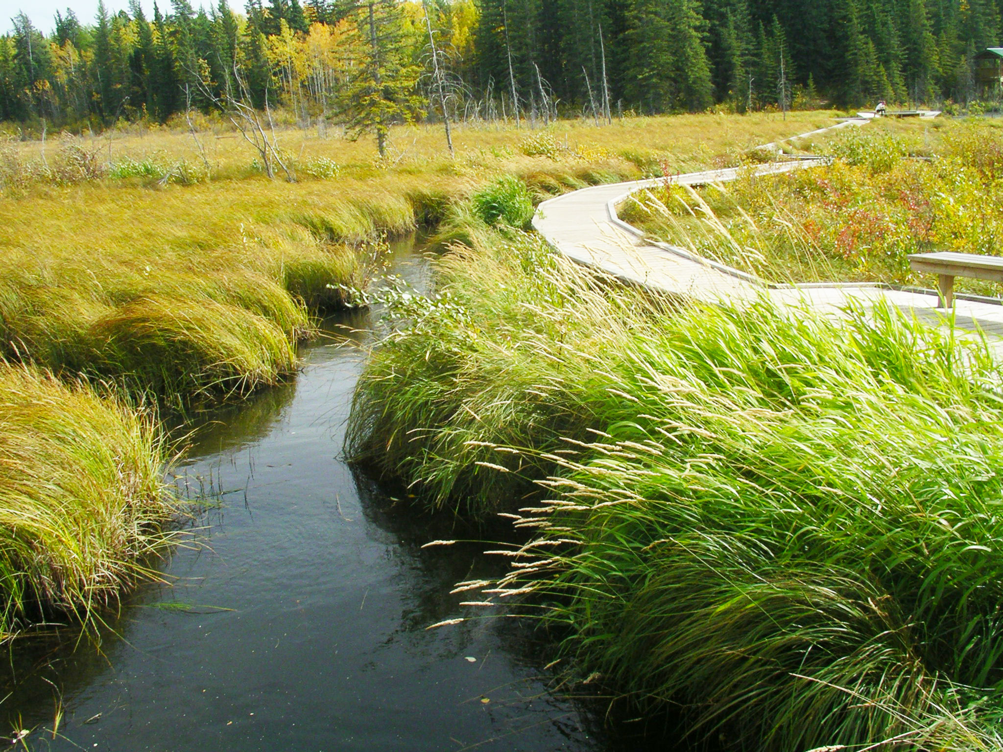 Jasper-sep-2011-055.jpg