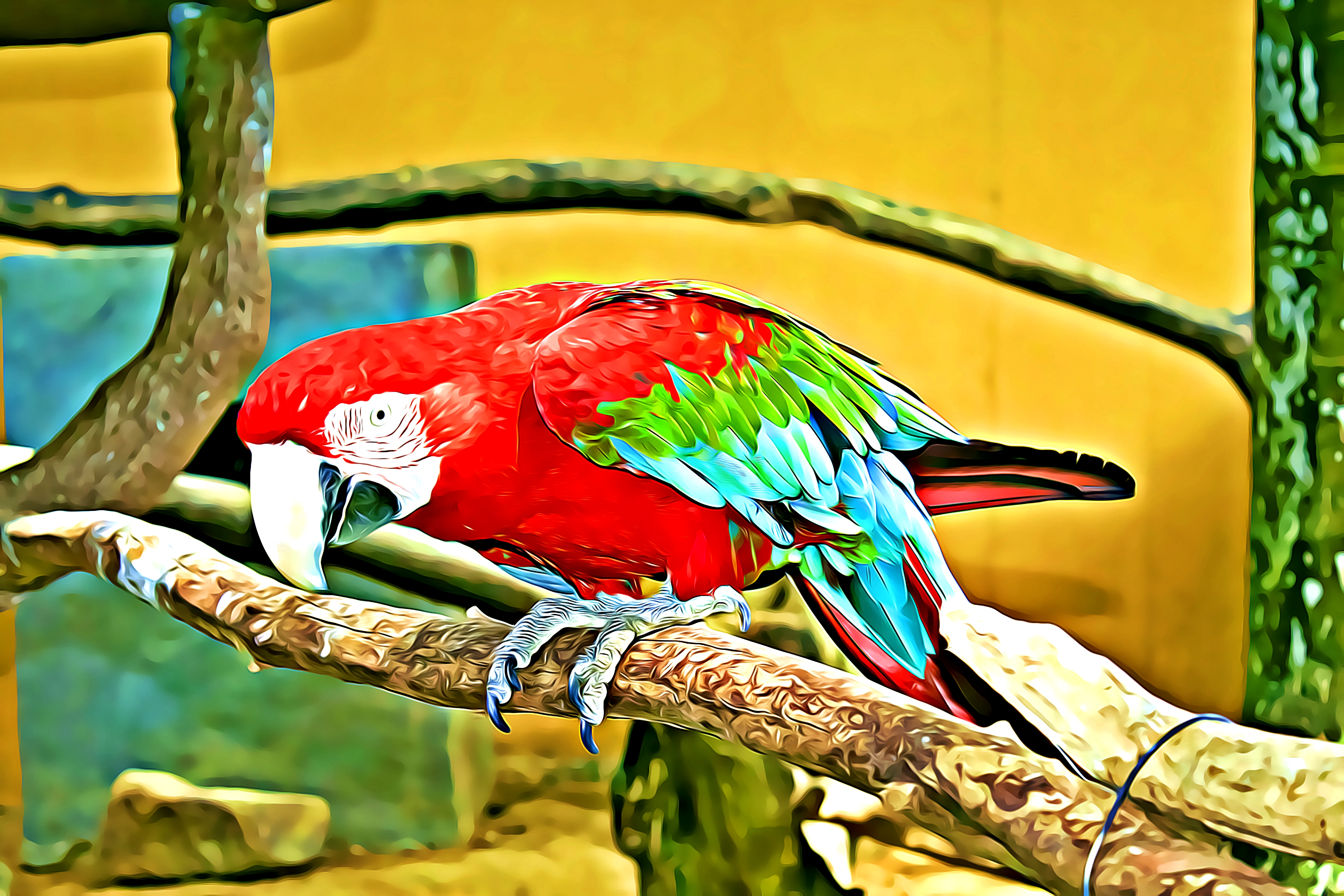 Parrot_Perch_by_ViralVisionary.jpg