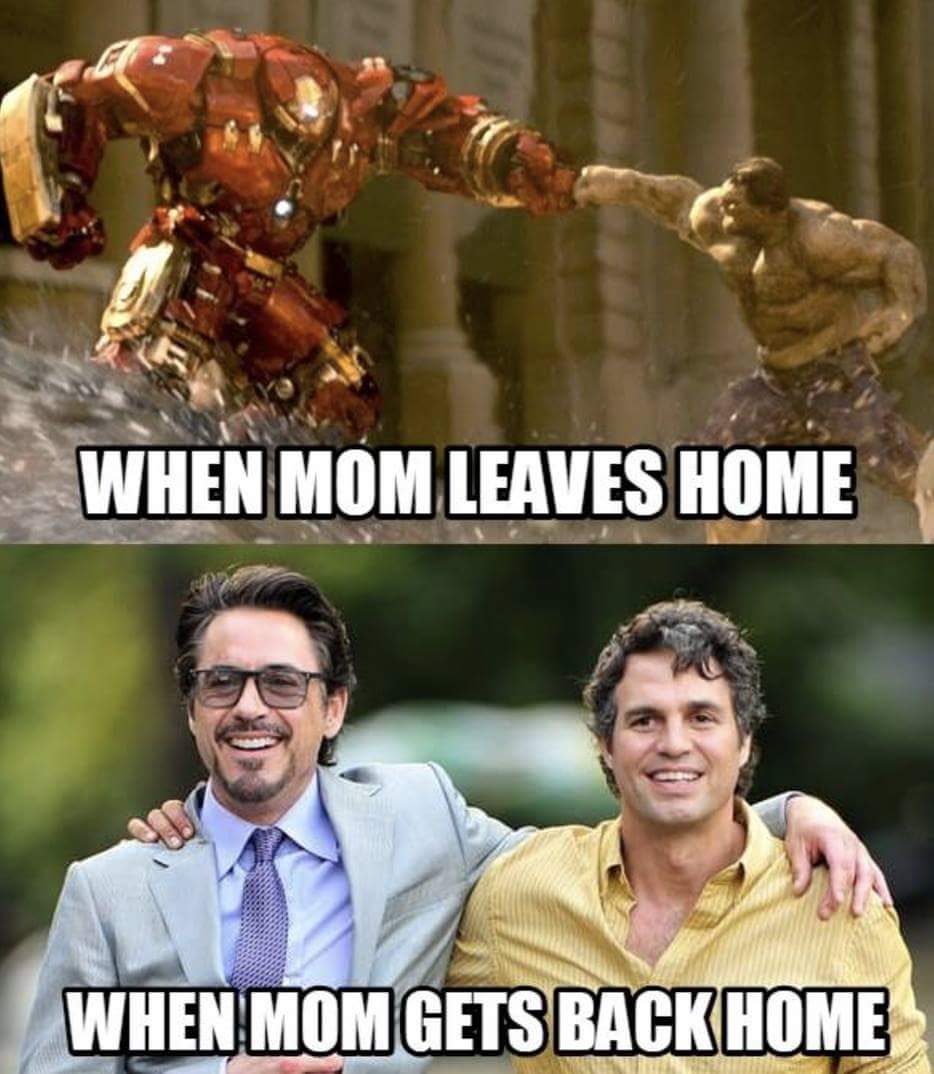 Мстители мемы. Профессор Халк Мем. When mom leaves Home.