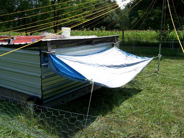 Mobile coop - shade tarp2 crop Aug. 2011.jpg