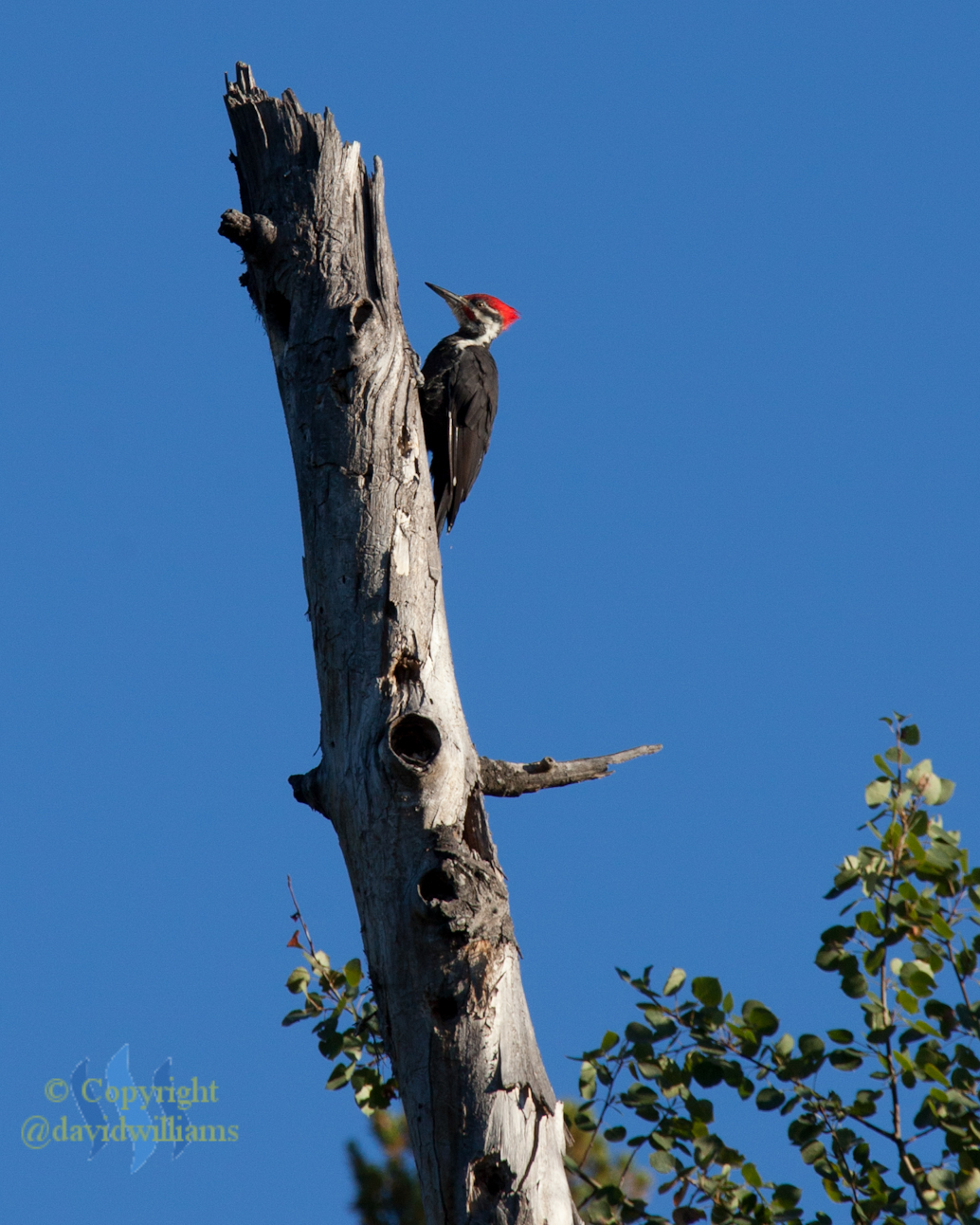-08918 September 18, 2012.jpg