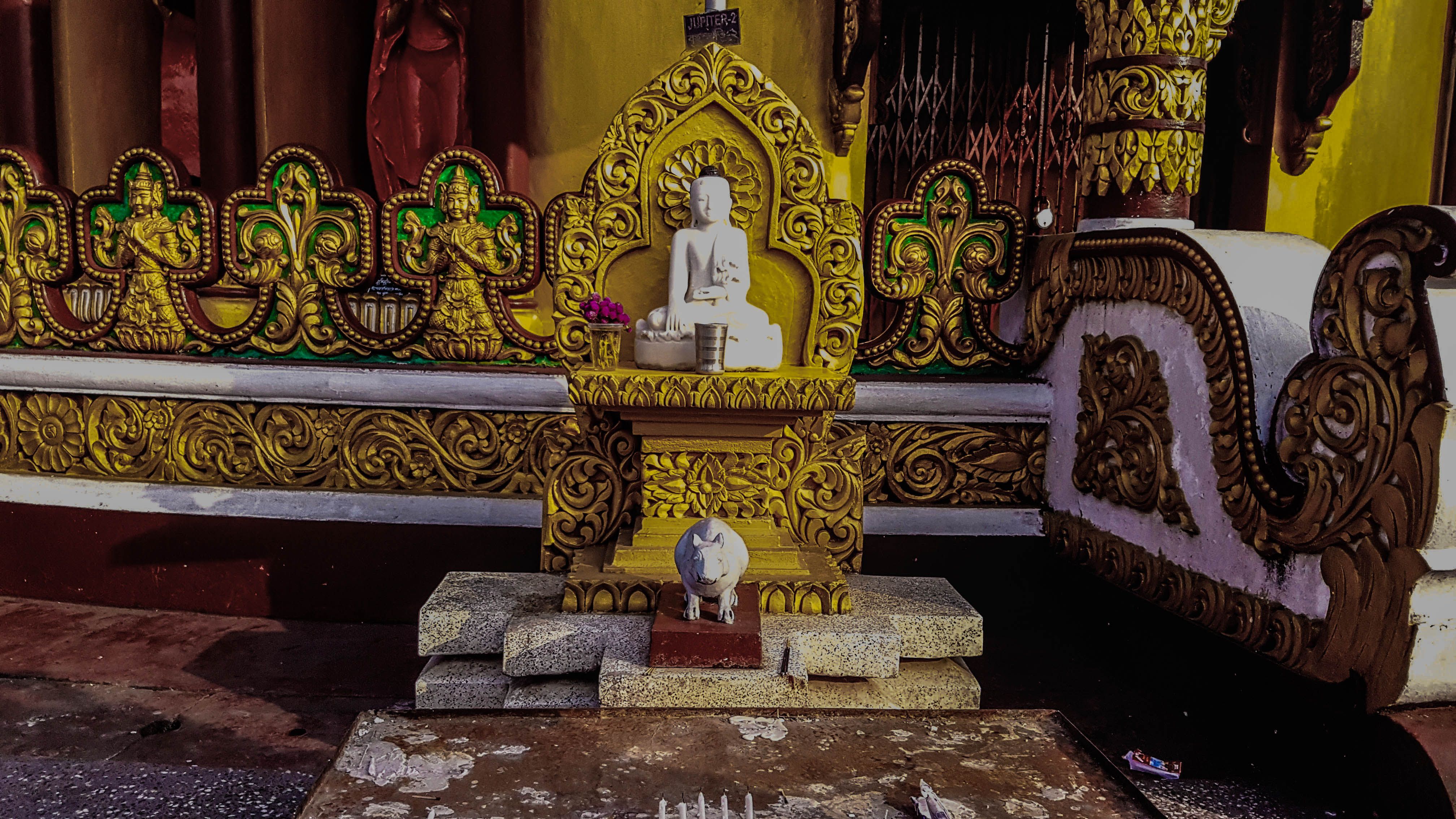 THE BUDDHA.jpg
