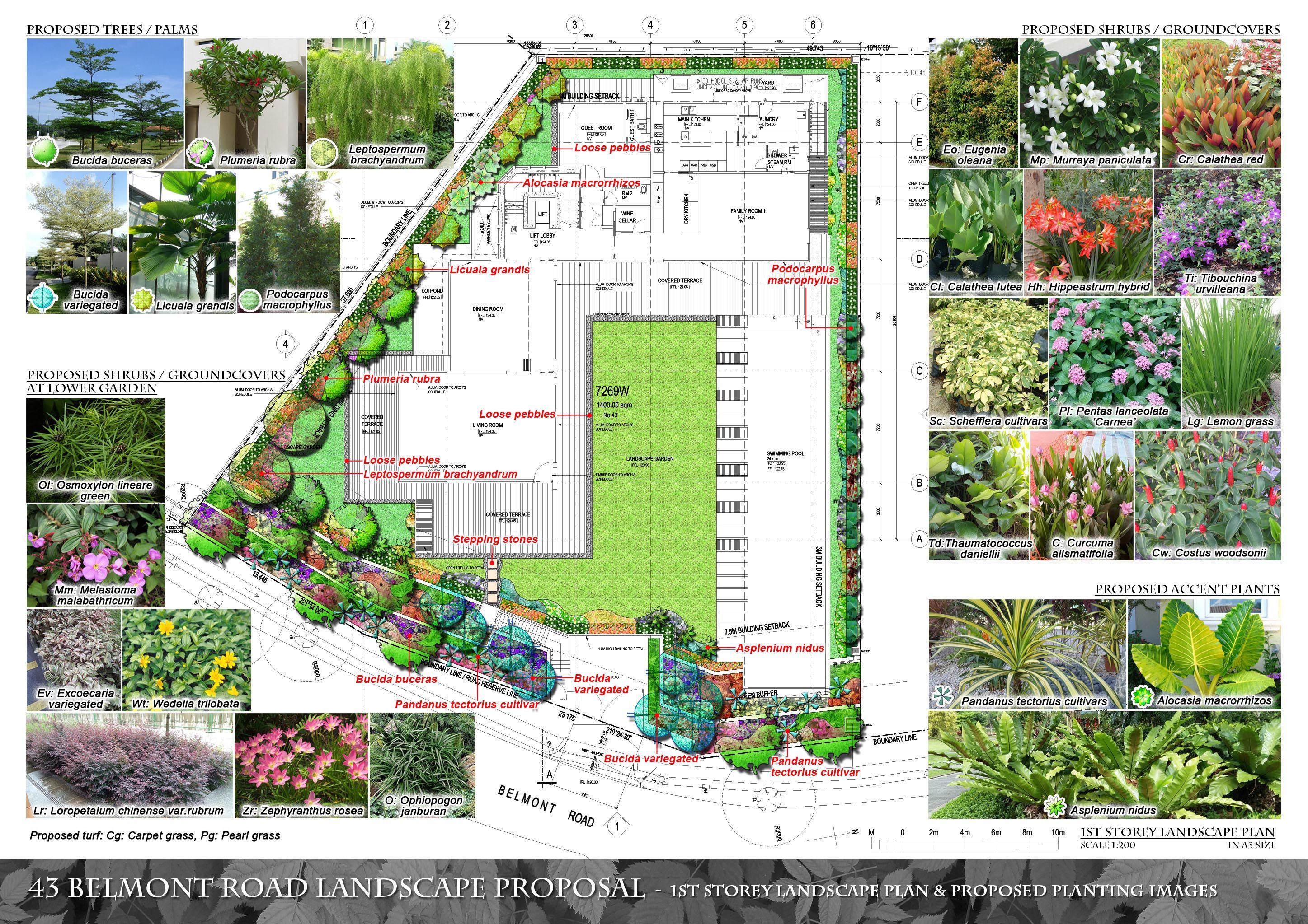 Landscape Design Proposal Template