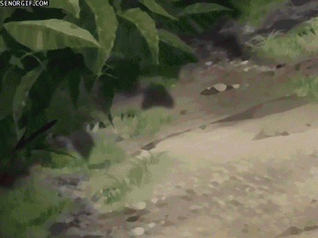 gyju.gif