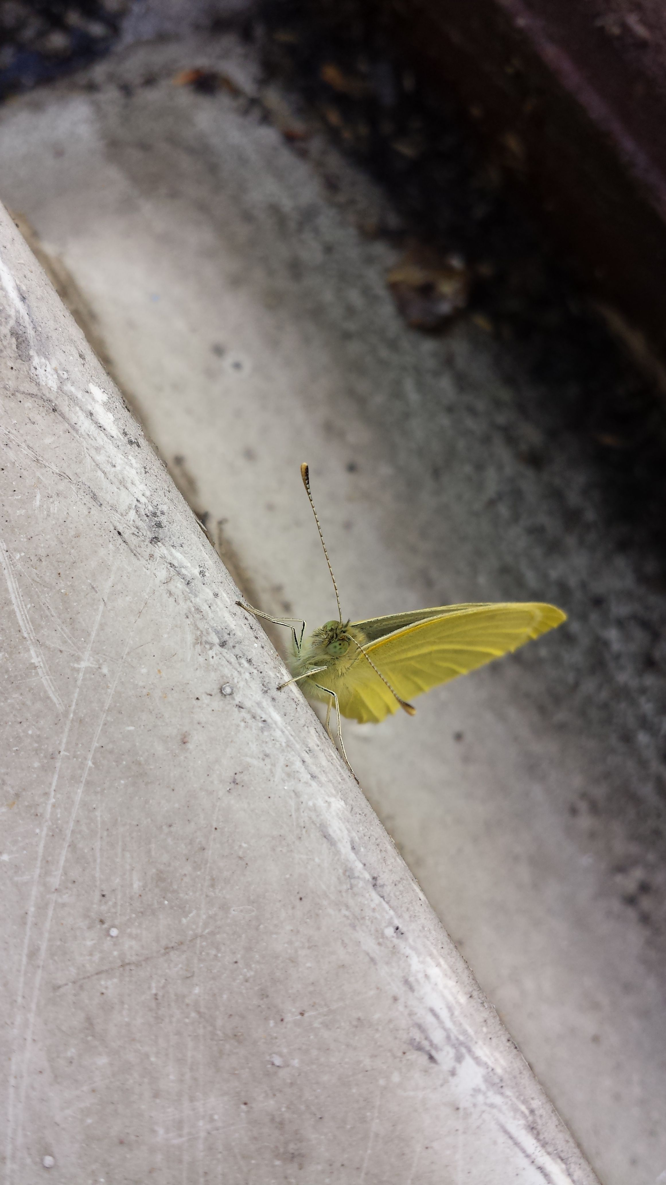 20160923_130913.jpg