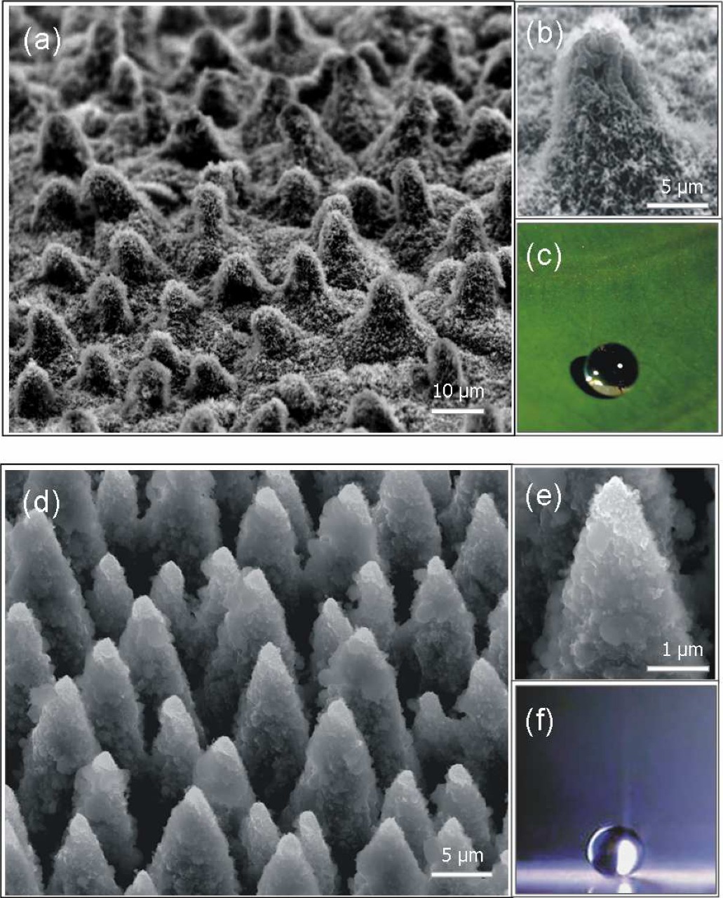 WhatsApp Image 2018-03-06 at 22.13.27.jpeg