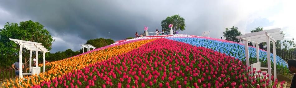 bohol glowing garden.jpg