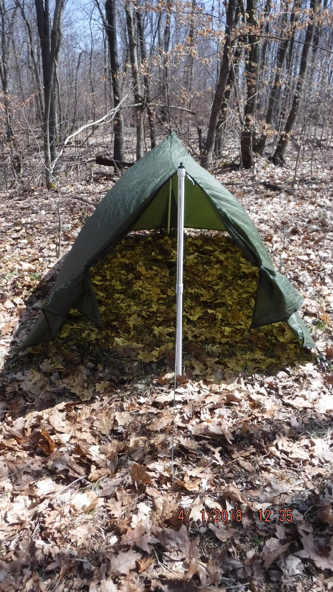 DSCF5309.JPG