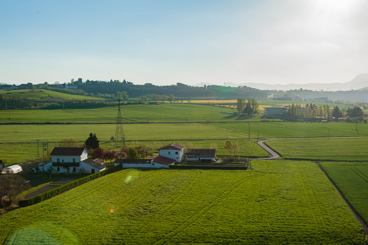 DSC_4006.jpg