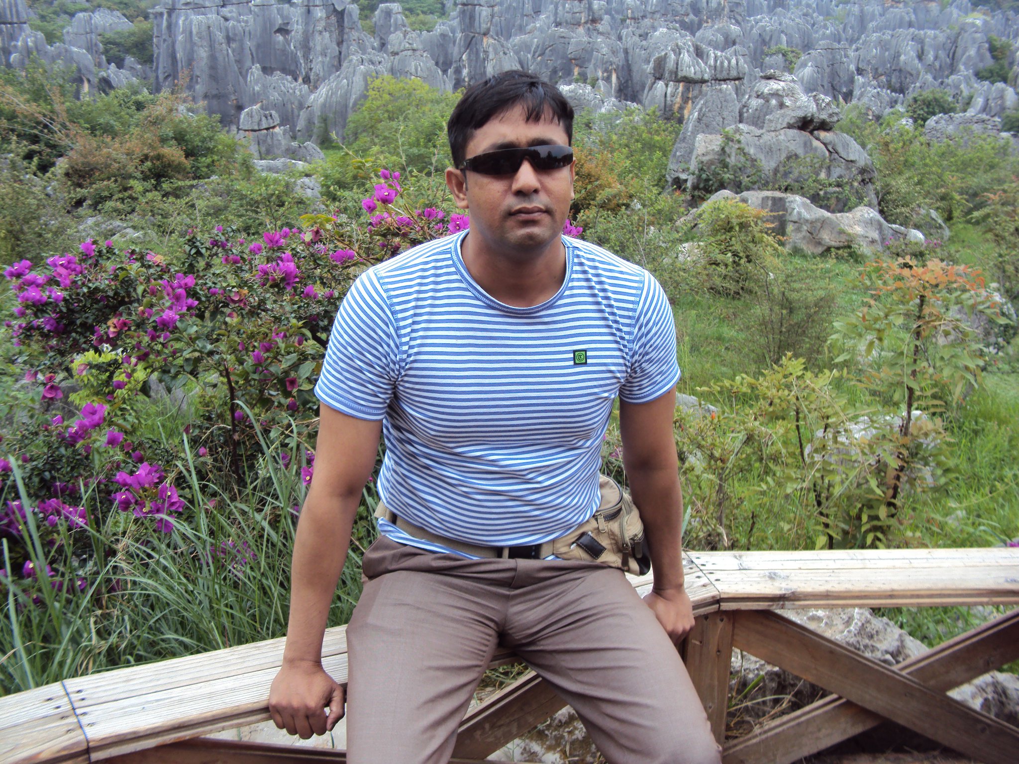 In Stone Forest.jpg