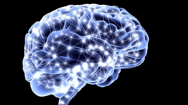 brain-cerebro-light-neurona-sinapsis.jpg