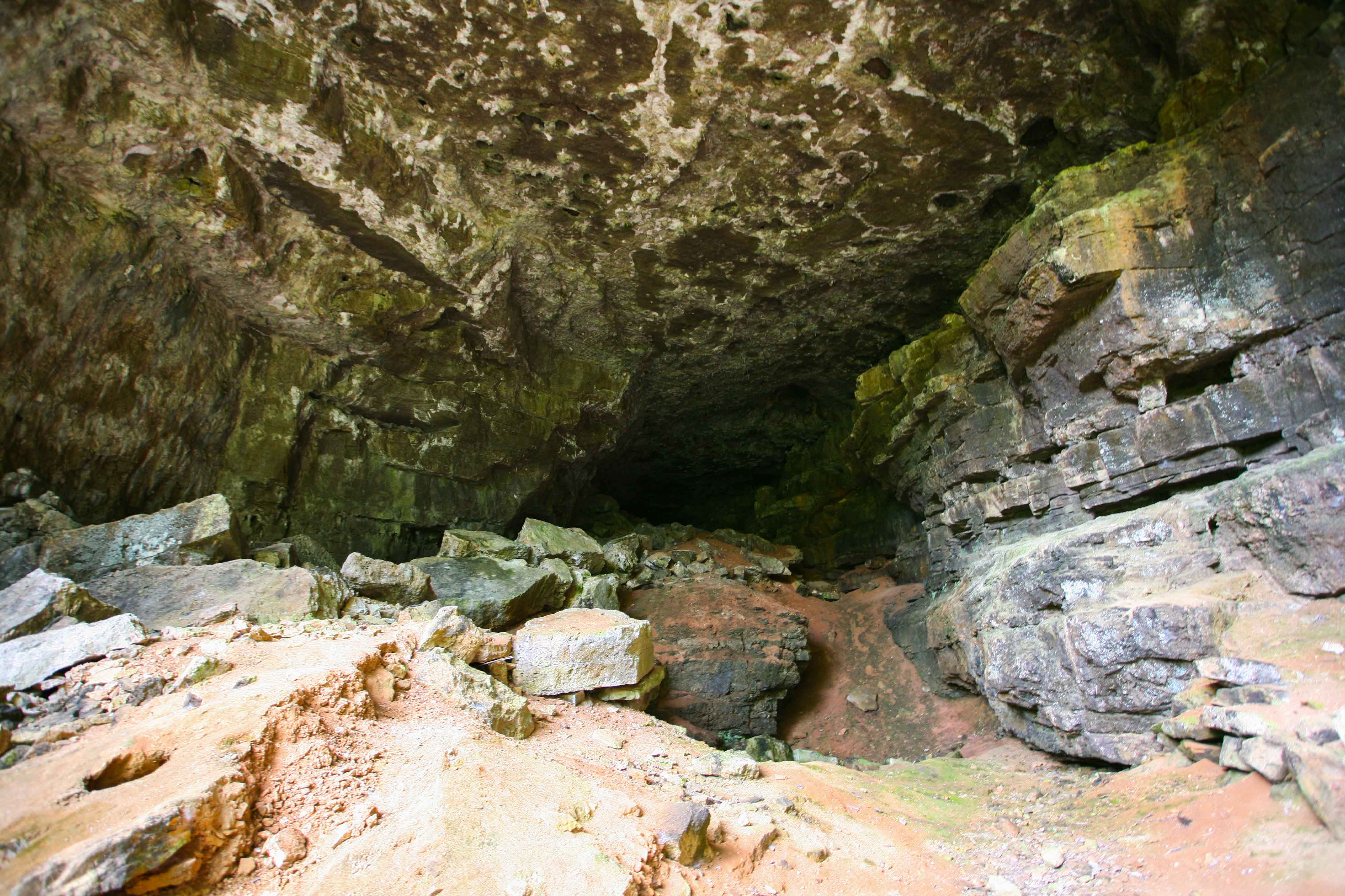 IMG_6862.jpg