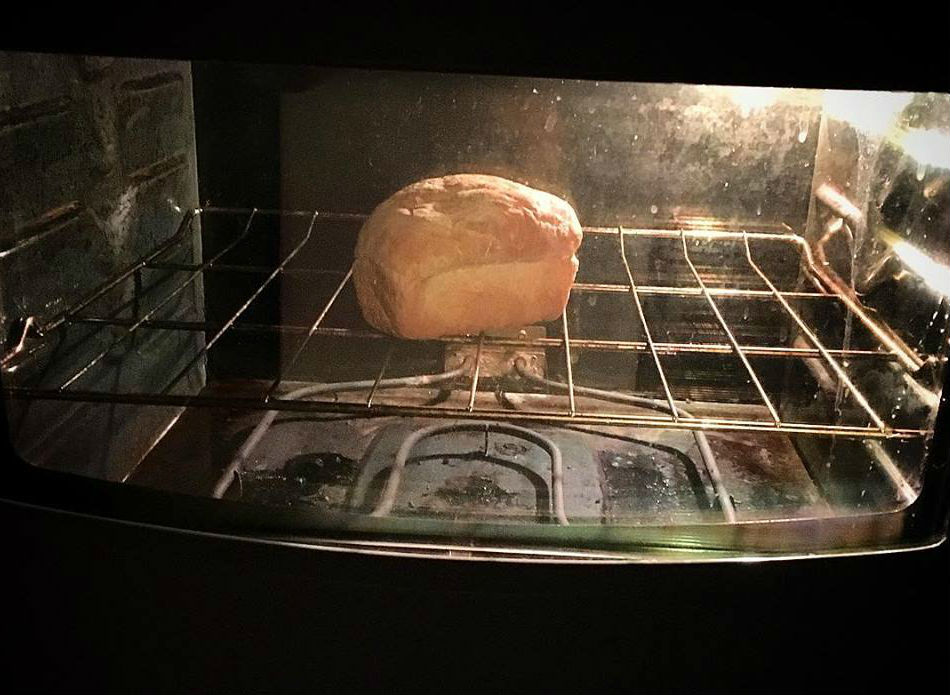 bun in the oven.jpg