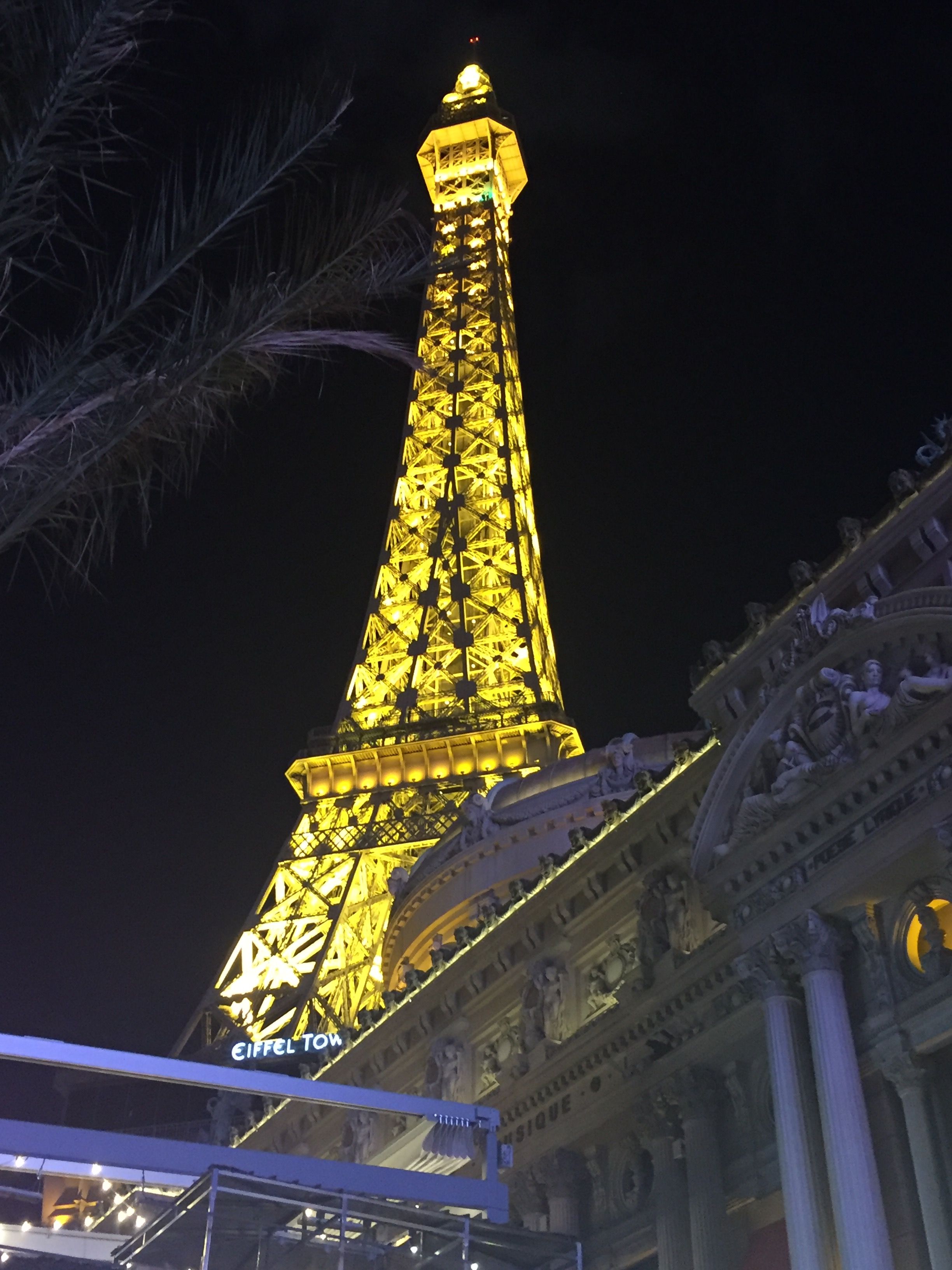 IMG_1463.JPG