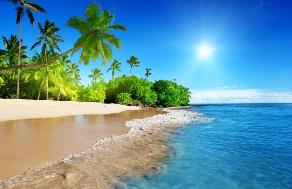 Beach Beauty.jpg