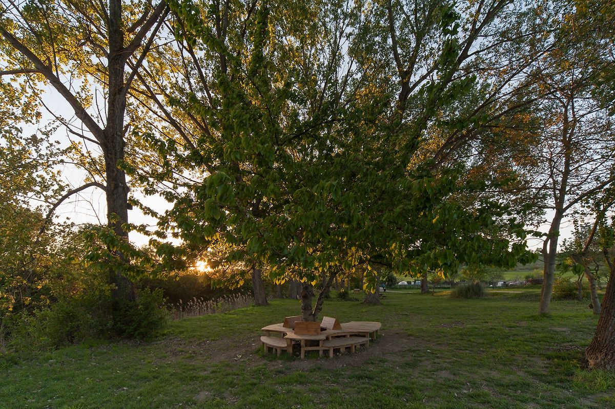 DSC_4074.jpg