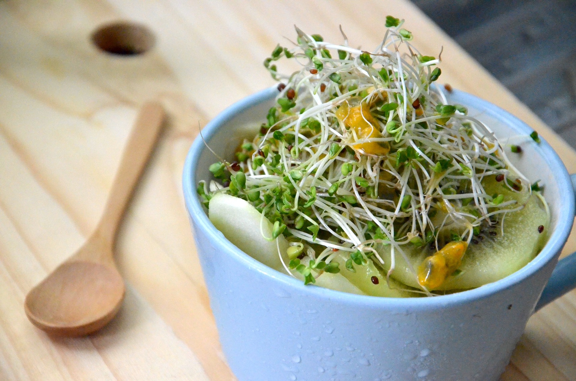 broccoli-sprouts-1977721_1920.jpg