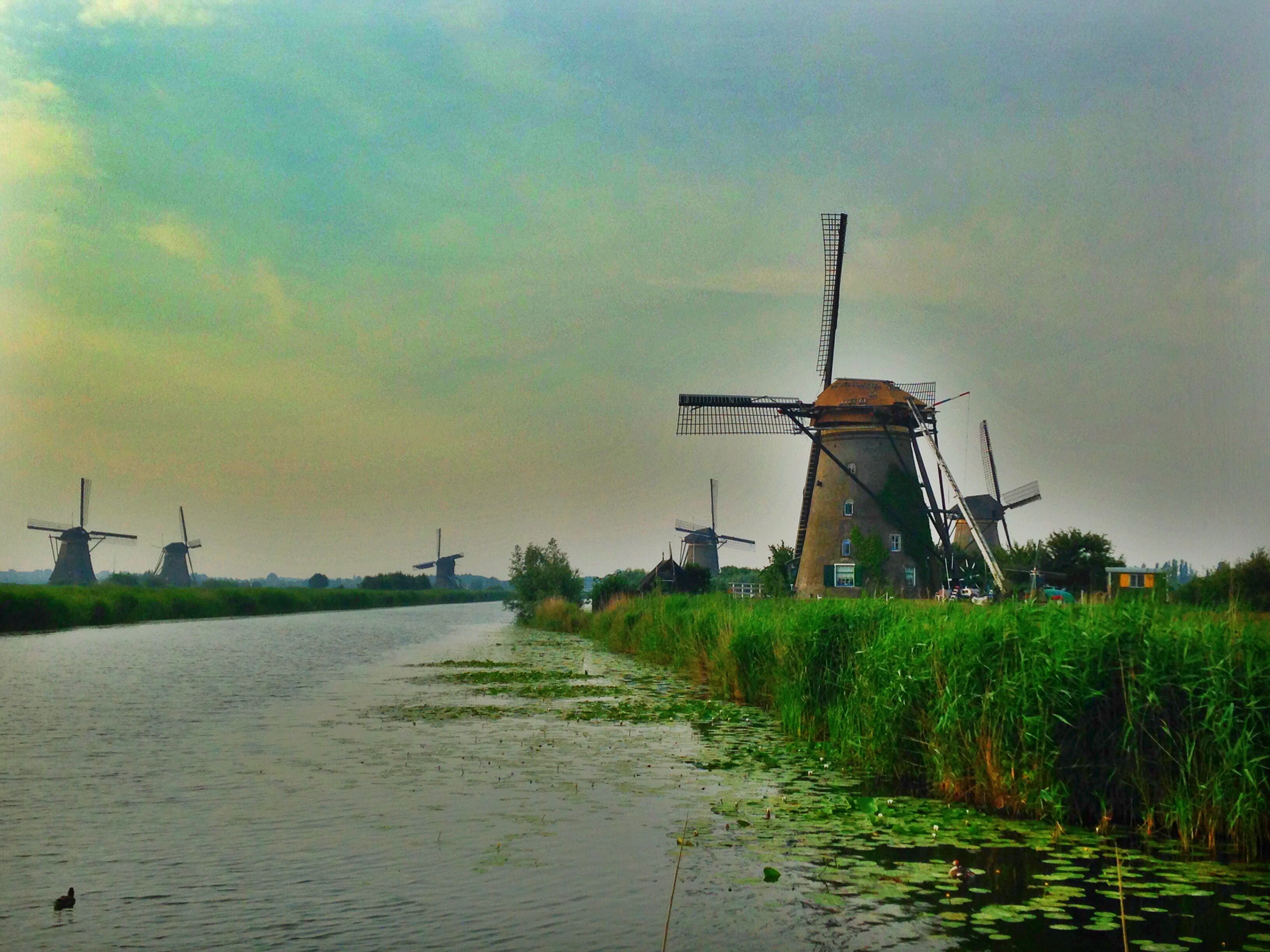 Kinderdijk.JPG