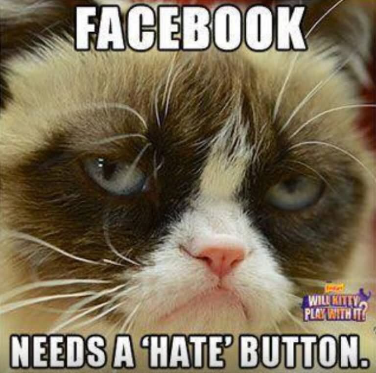 Facebook-Needs-A-Hate-Button-Funny-Grumpy-Cat-Meme-Picture.jpg