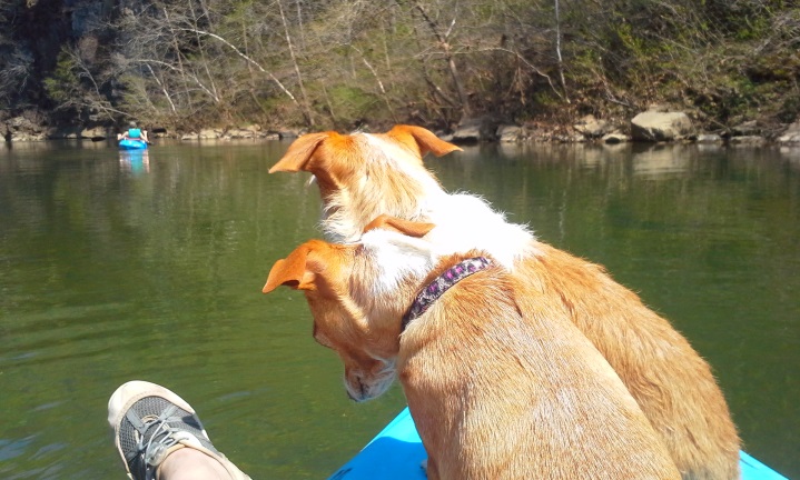 20150412_142055.jpg