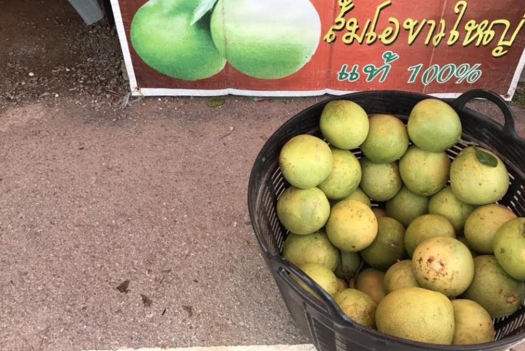 pomelo.jpg