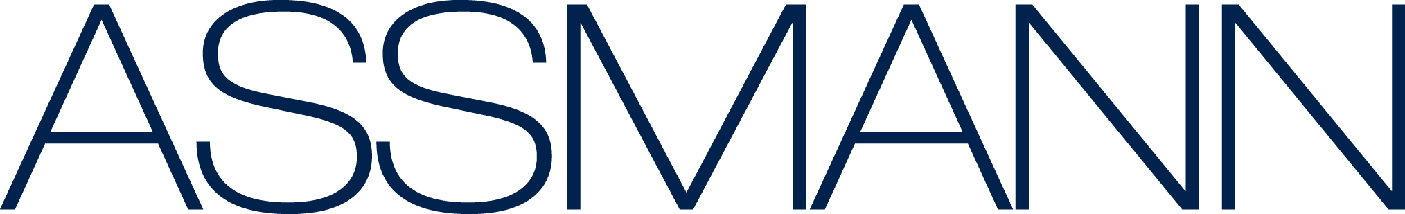 ASSMANN_Electronic_GmbH_Logo.jpg