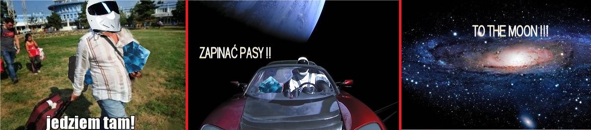 MUSK5.jpg