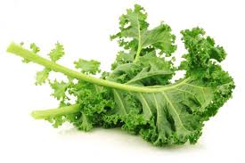 kale health.jpg