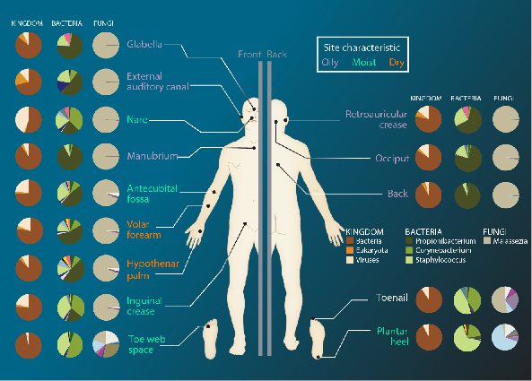 Human Microbiome Sites