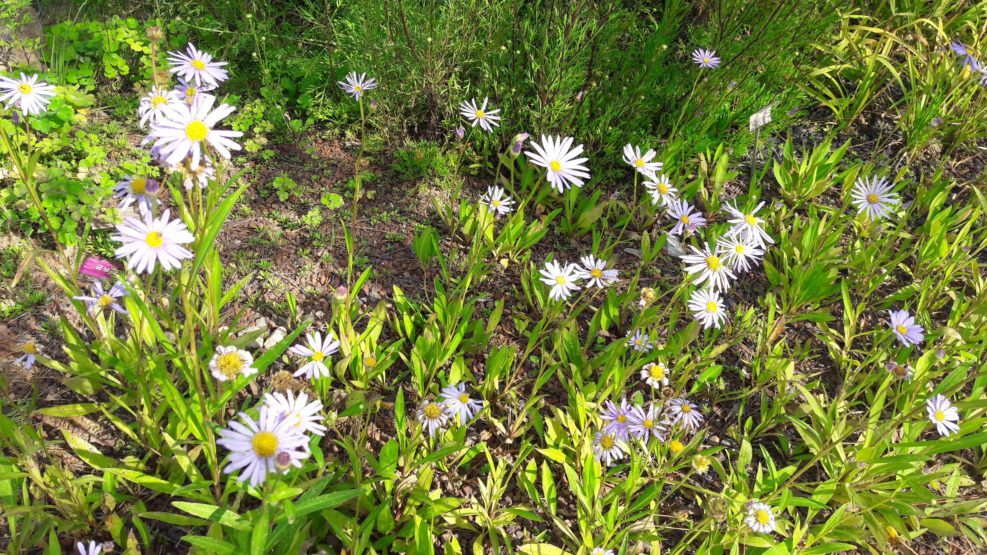 20170914_145959.jpg