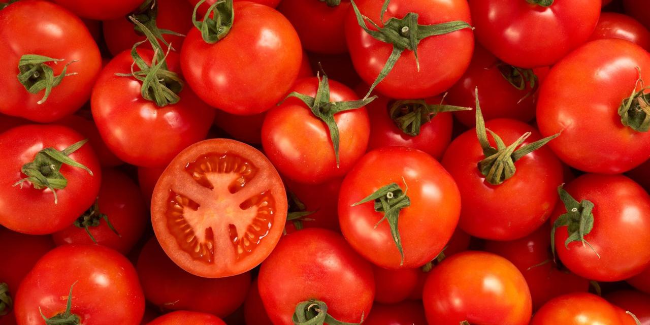 e18d41e1-12.-tomato.jpg