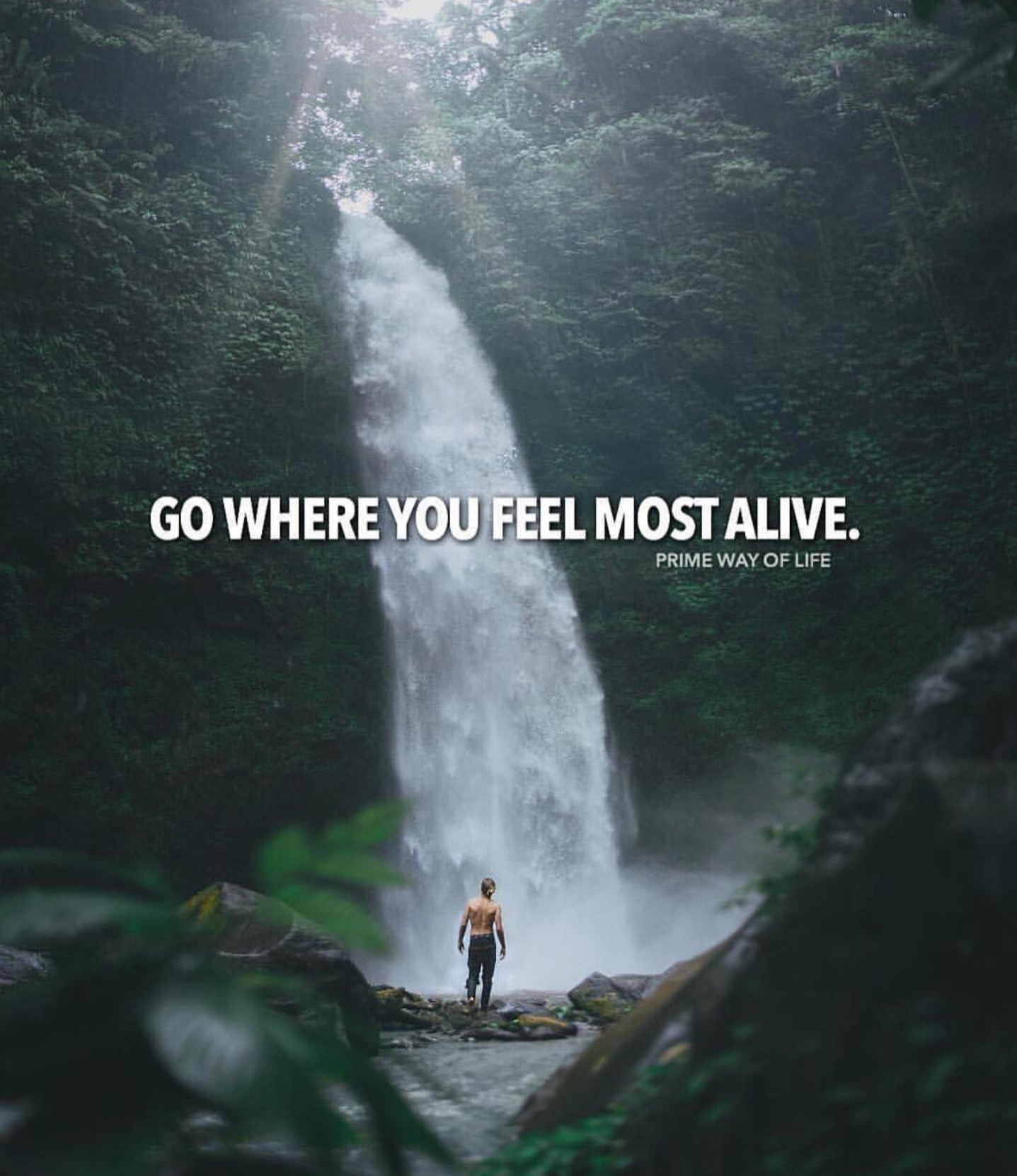 Most feels. Go where you feel most Alive. Водопад путешествие цитата. Go where you feel most Alive перевод. Feel Alive the most.