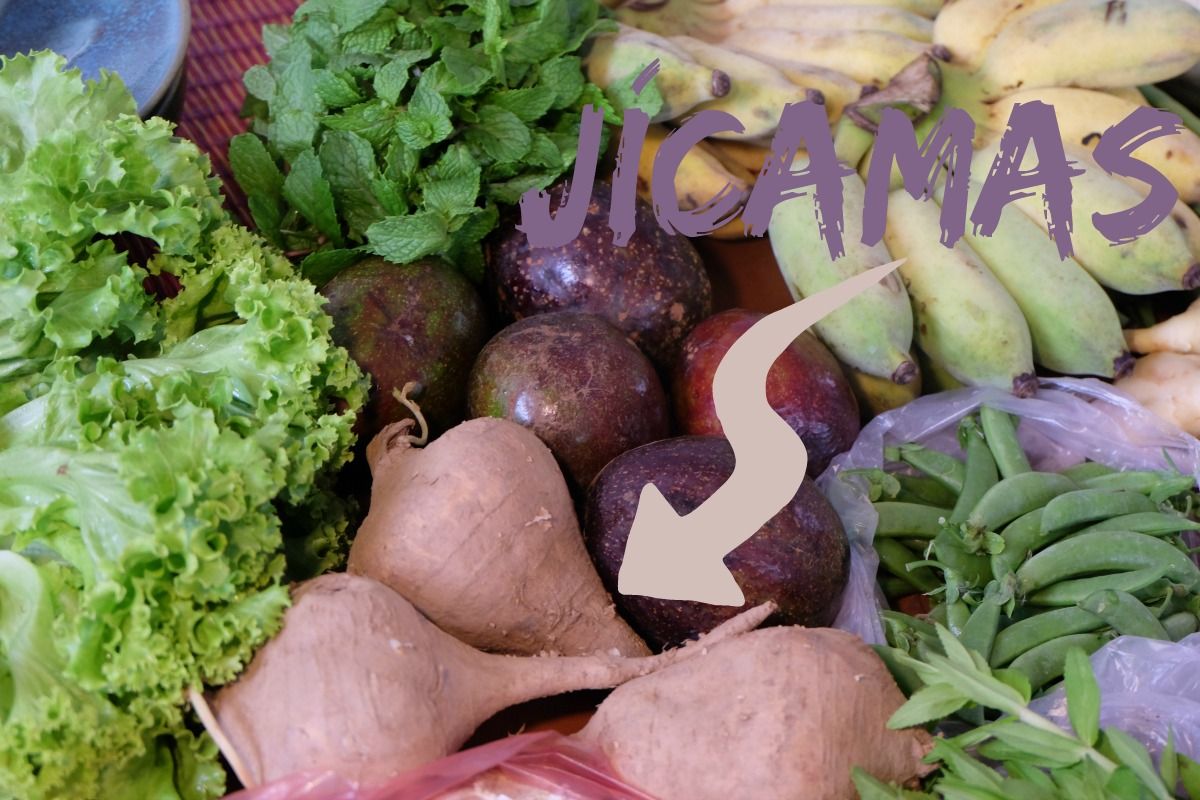 Jícamas-pomelo-salad.jpg