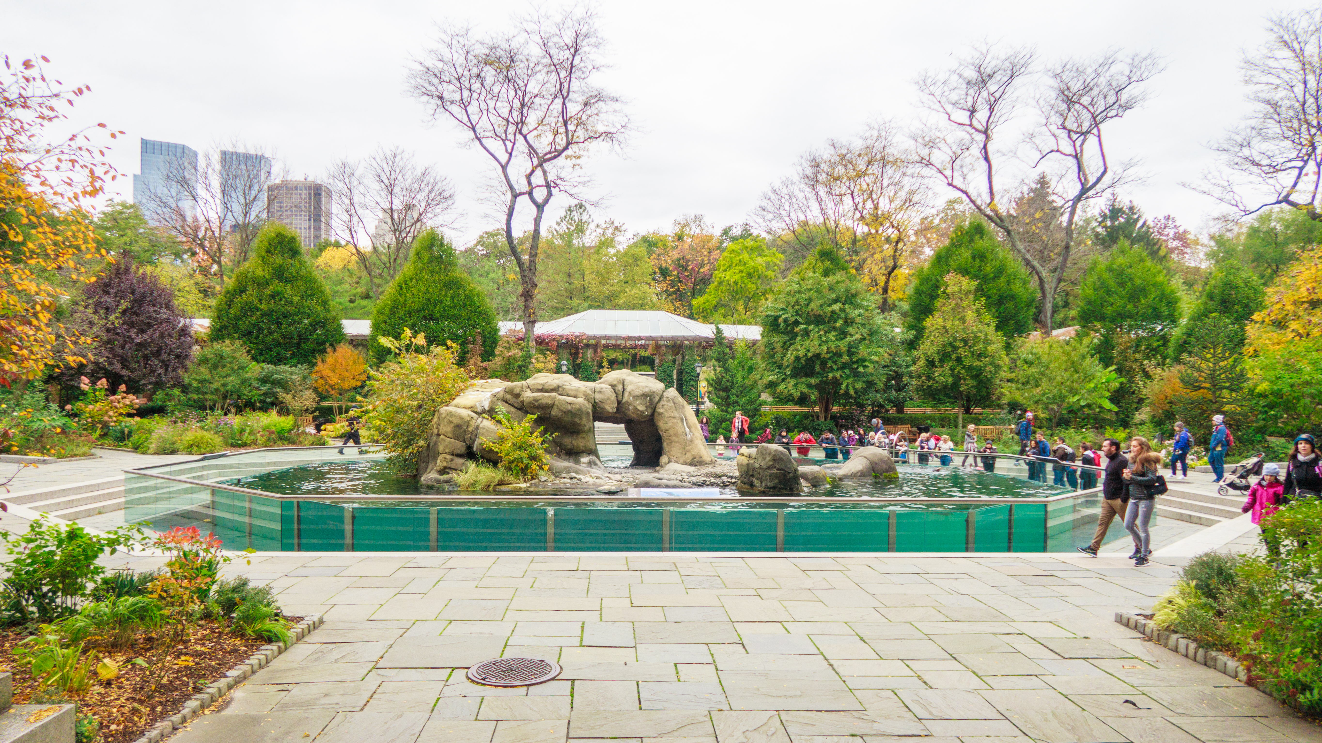 Central Park Zoo_111.jpg