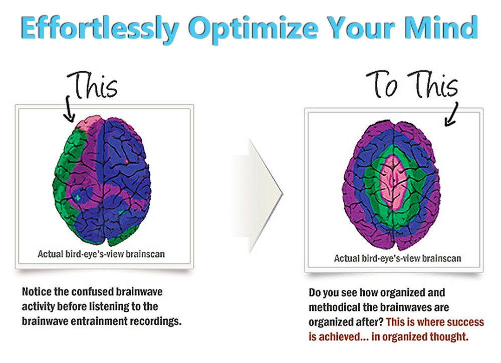 MindFlavors™-Brain-Images-visual-.jpg