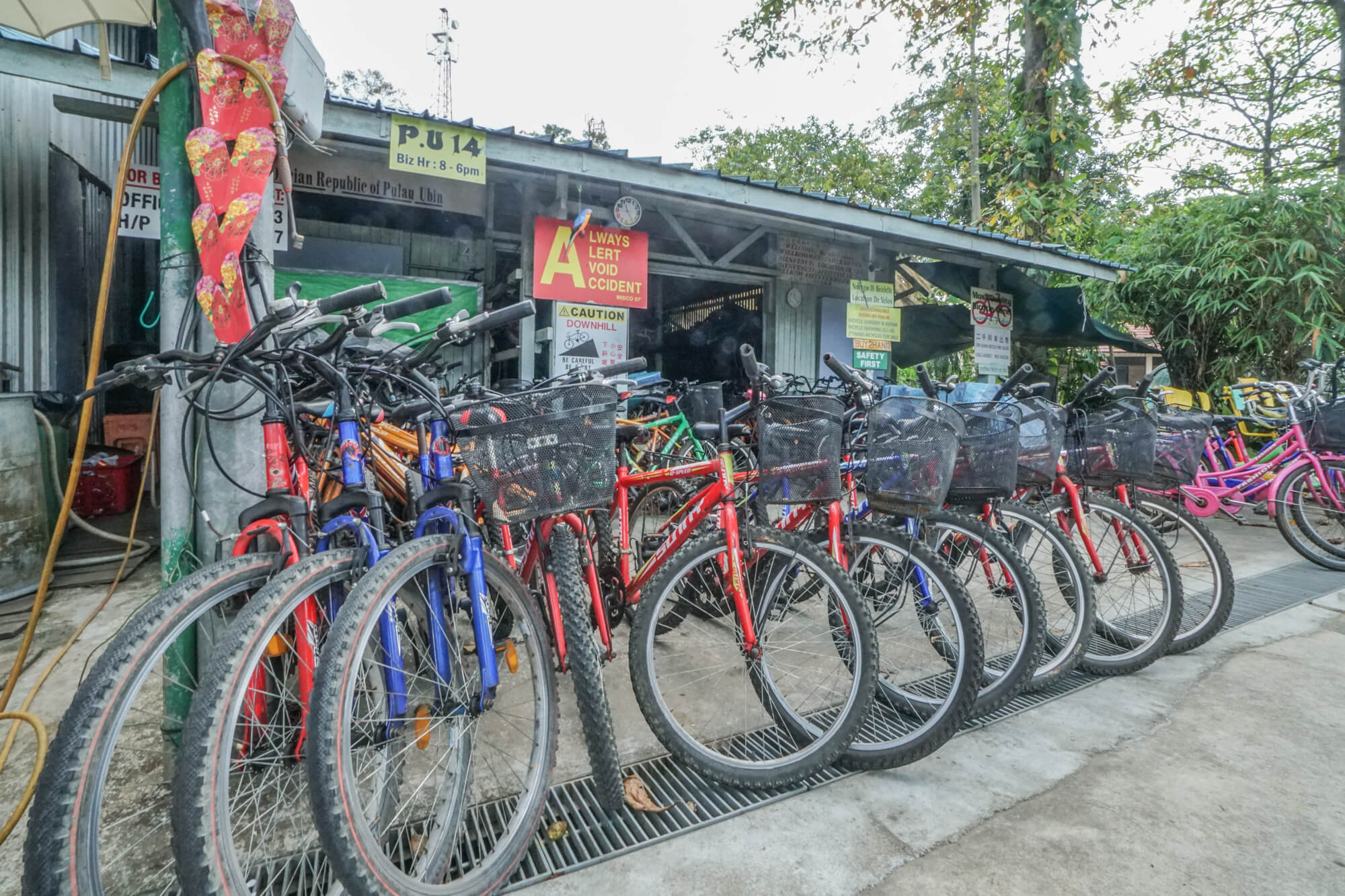 fahrradverleih-pulau-ubin.jpg