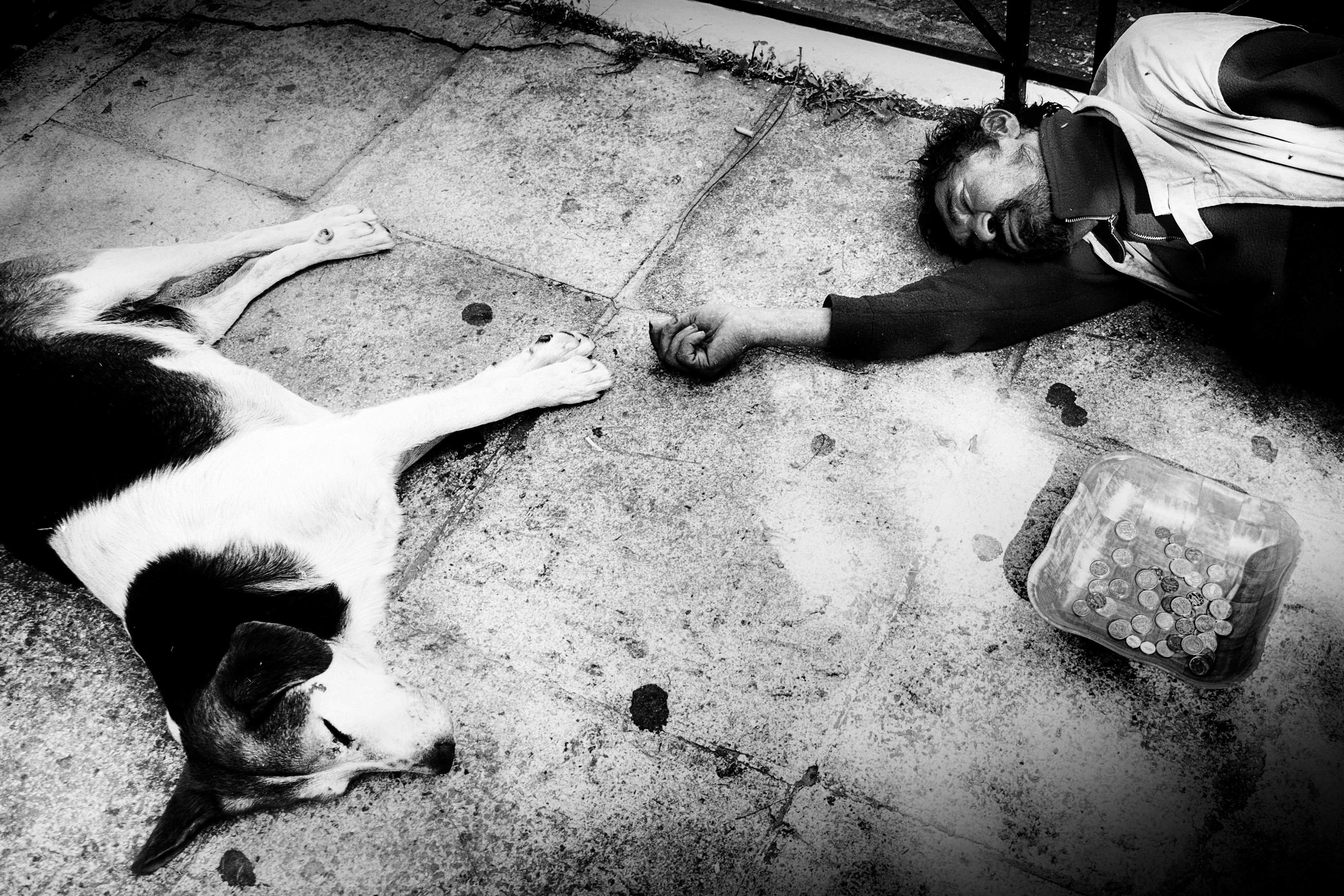 03_Homeless and Stray Dog.jpg