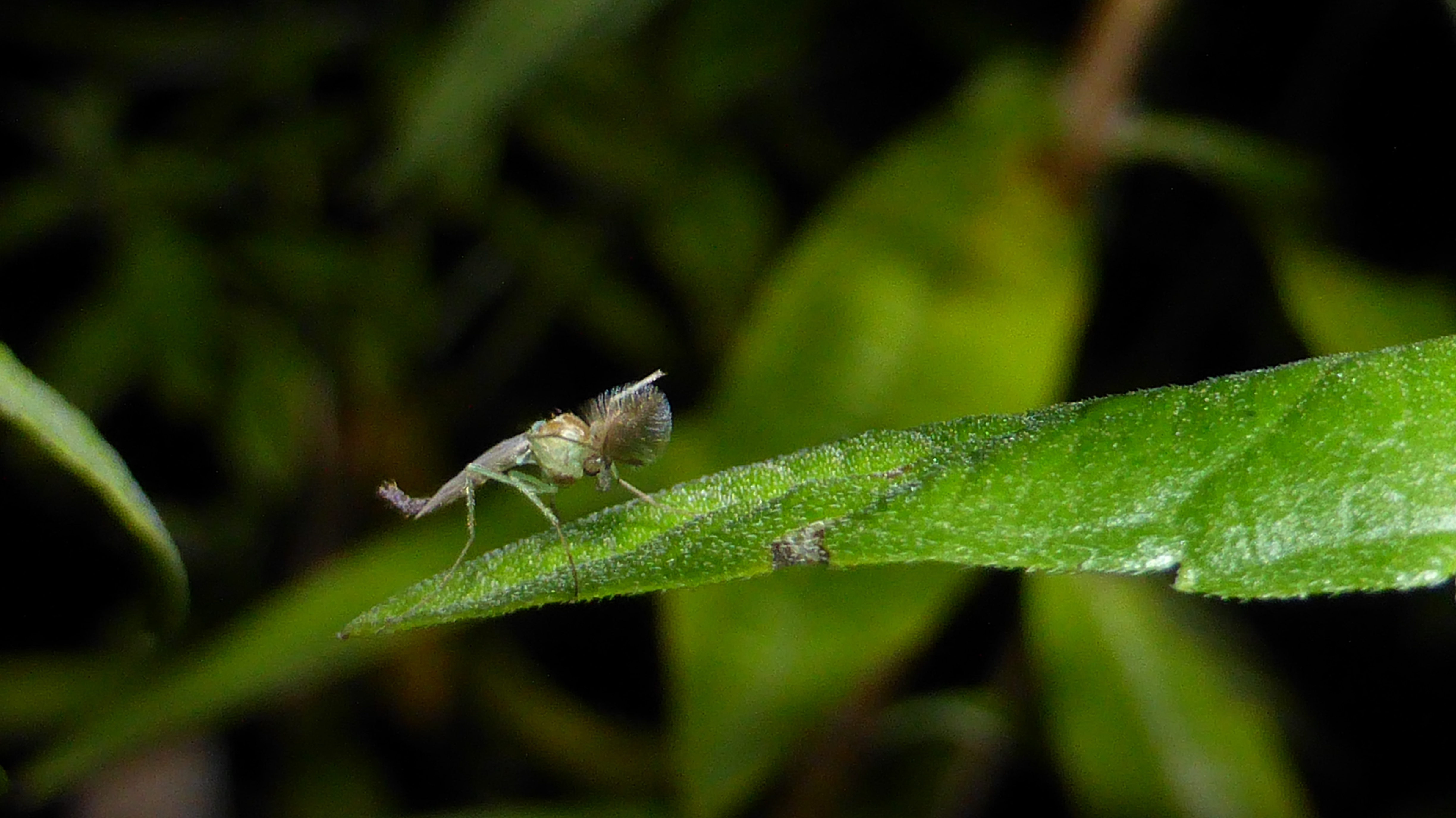 P1250576.JPG