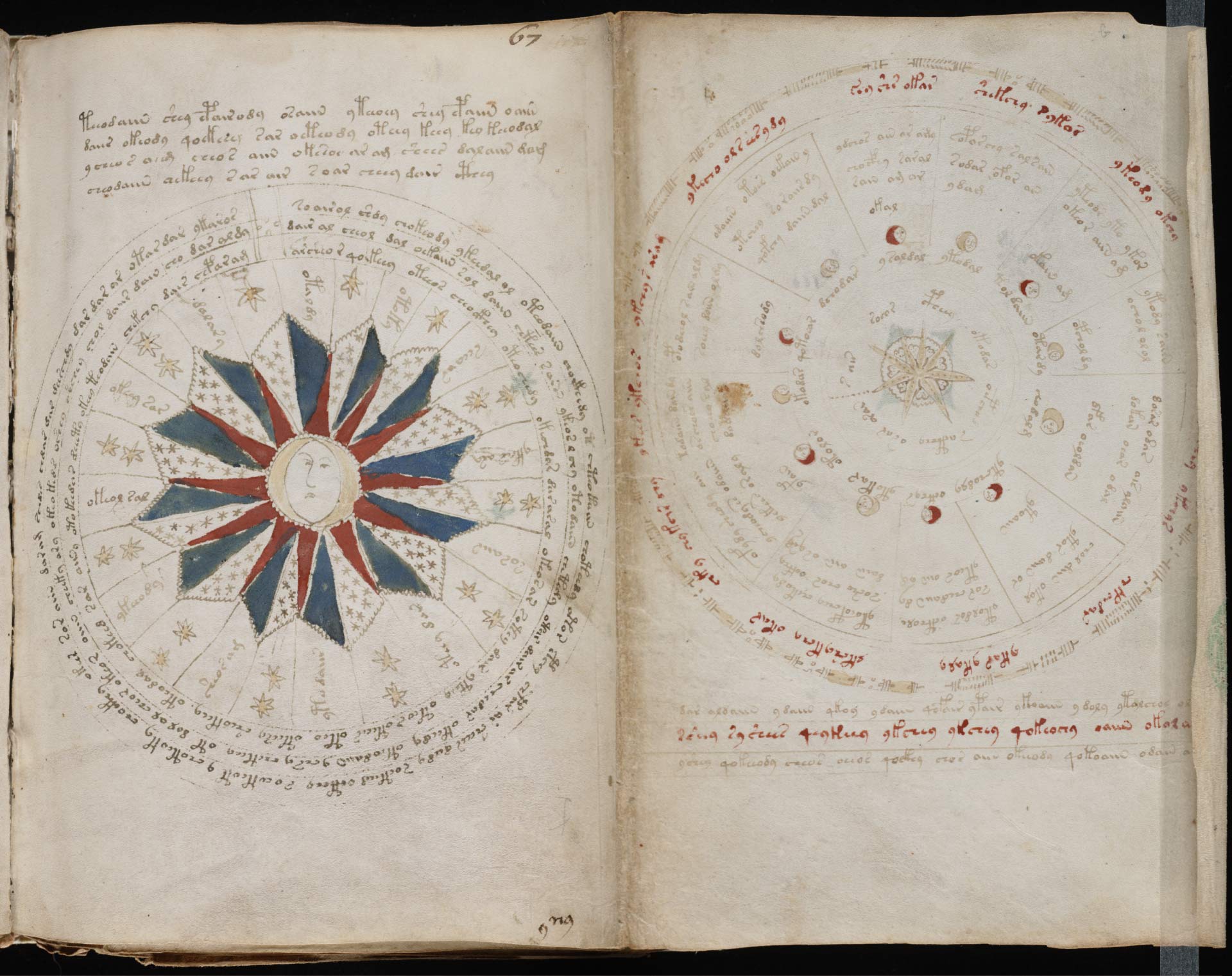 voynich-manuscript (1).jpg