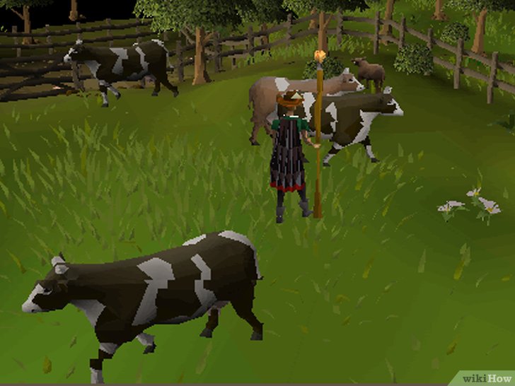 v4-728px-Make-Money-on-RuneScape-Using-the-Cowhide-Method-Step-1.jpg