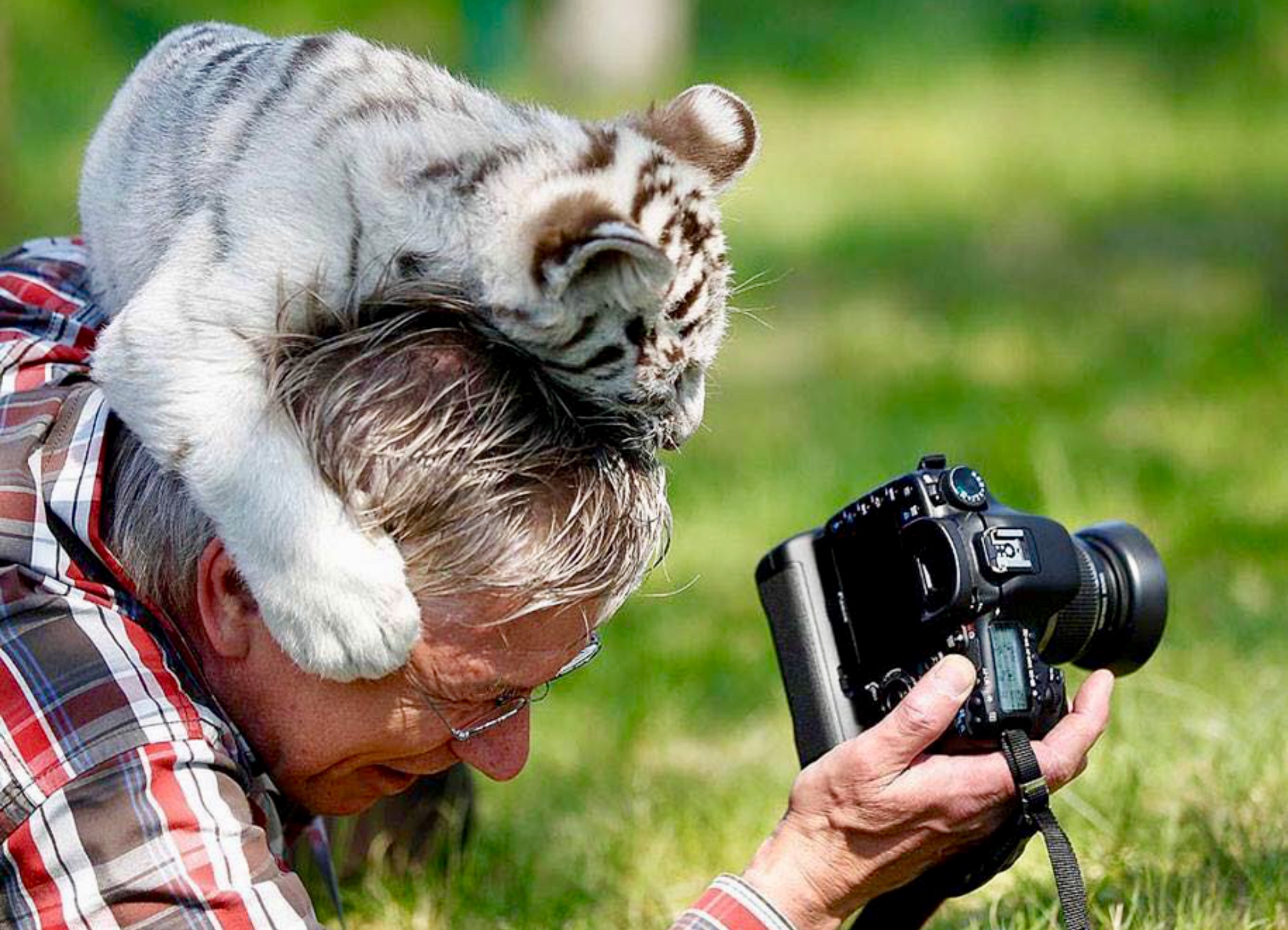 Интересные картинки. Вилдлайф фотографер. Профессия фотограф. Фотографирование животных. Фотографирует животных.