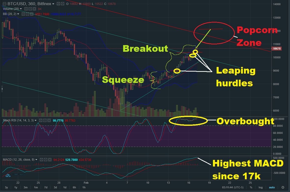 Feb 17 BTC T&A1.jpg