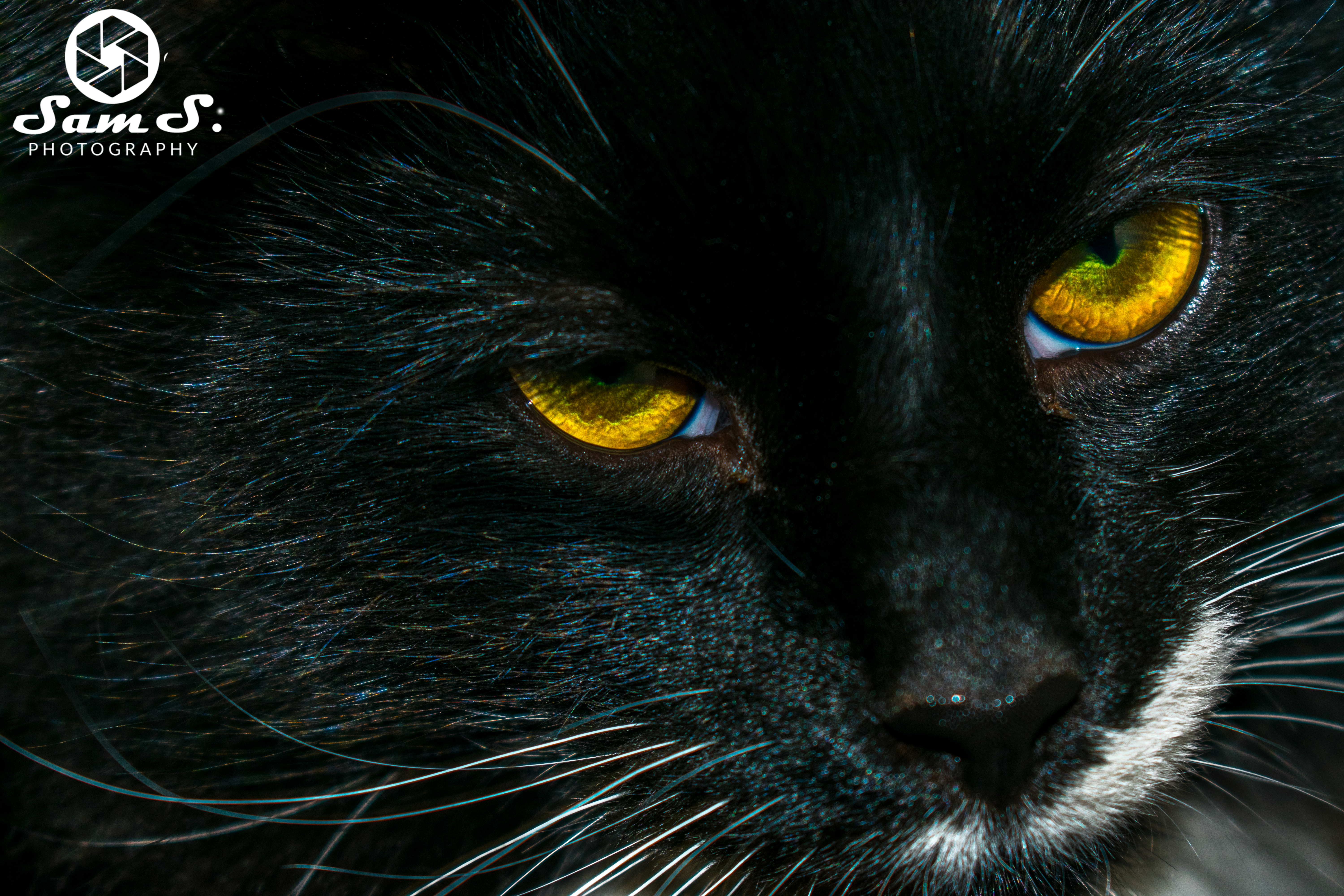 DSC_0075.png