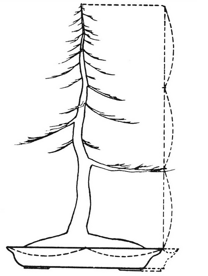 auskinis-pjuvis1.png